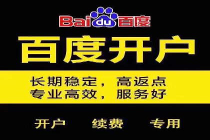 成功案例：百度推广代理助力电商突破